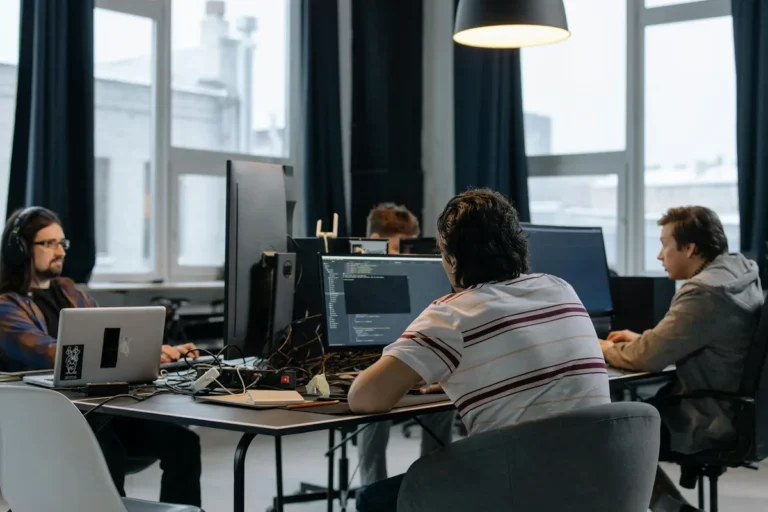 On Software Culture, and What It Shapes